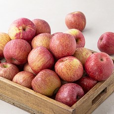 맛뜨레 Sweet Ugly 빨간사과, 10kg(25~55입), 1박스