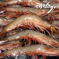 대천해 자연산 대하 1kg(24~29미 내외)