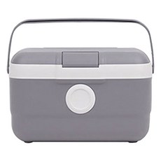 올리빙 도트 아이스박스, 그레이, 21L