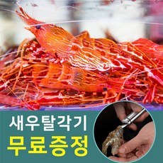 독도새우 꽃새우 닭새우 도화새우 500g 1kg 백고동 백골뱅이 산소포장, 자연산백고동(중) 25~38개, 1개