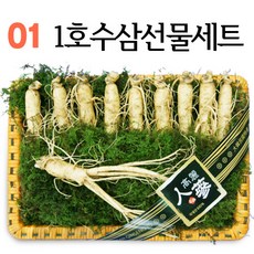 고려인삼 추석 구정 설날 명절 수삼선물세트 5 6 년근, 1호수삼선물세트