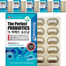 네추럴라이즈 더 퍼펙트 유산균, 60정, 6개