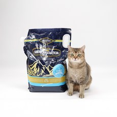 아메리칸솔루션 스카이블루 고양이모래, 9.07kg, 2개