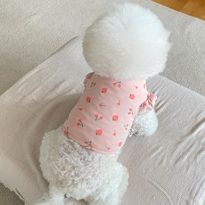 바이담수미 반려동물 딸기소매 크롭티, 핑크