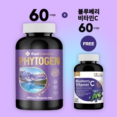 로얄캐네디언 캐나다 파이토젠 60cap + 블루베리 비타민C 60cap 추가증정