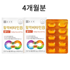 비타민B군 영양제 비타민B100 비타민비군 종근당 활력 비타민B 콤플렉스 복합제 수용성비타민 비오틴, 60정 2통