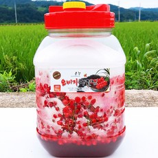 2022년 문경 햇 오미자 당절임 6kg 10kg