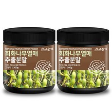 회화나무열매 추출분말 300g 괴각 추출물 가루, 2통