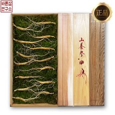 바른삼연구소 프리미엄 100% 국내산 산양삼 선물세트 장뇌삼 산양산삼 산삼, 5~6년근 6뿌리, 일반포장(신선스티로폼+고급보자기)