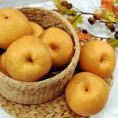이룸팜스 가정용 못난이 나주배 6kg, 1개