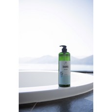 대용량 녹차샴푸1000ml 비건 친환경 향기좋은샴푸 정수리 두피냄새 사춘기샴푸 임산부샴푸