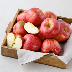 가족 안동 당도선별 사과, 2kg, 1봉
