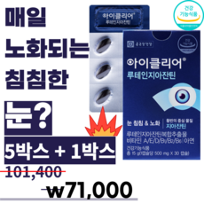 6개월분(6박스)종근당건강 루테인지아잔틴 식약처 인증 식물성 건강기능 눈 노화 침침 황반 색소 밀도 건조 관리 유지 도움 영양제 식품 알약케이스, 6개