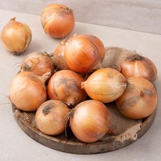 국내산 유기농 양파, 3kg, 1봉
