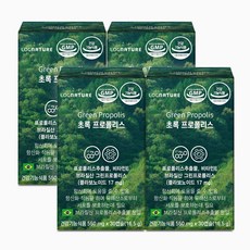 로그네이처 초록 프로폴리스 플라보노이드 영양제, 30캡슐, 4개