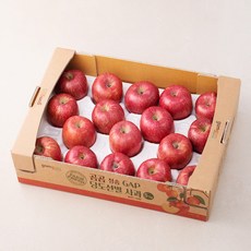 곰곰 청송 GAP 당도선별 사과, 5KG박스, 1박스