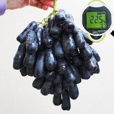 달콤한 블랙사파이어포도 가지포도 1kg / 2개 주문시 2.5kg발송