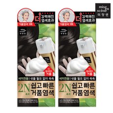 미쟝센 쉽고 빠른 거품 염색약(2N 흑색)무배 염모제, 없음, 4개