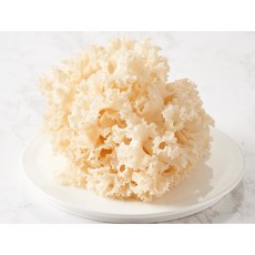 최고급생꽃송이버섯, 일반포장, 500g, 1개