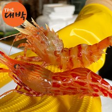 독도새우 활 꽃새우 닭새우 산소포장, 1박스, 활 독도꽃새우 500g