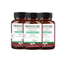 미니네이처 가자 추출물 1000mg 90정 2+1