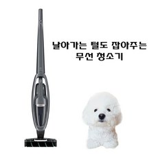 일렉트로룩스 Well Q8 스틱 청소기, 블랙