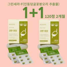그린세라 F 위점막보호제 금은화 120정 2개월분
