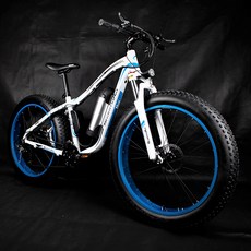 23년 신형출시 750w 2X2 monster E-26 전기팻바이크, 화이트_네이비