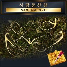 사랑품산삼 15년근 1+1뿌리 산양삼 장뇌삼 산양산삼 천종 자연산산삼, 15-16년근 1+1뿌리