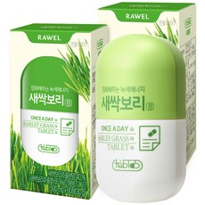 로엘 타블랩 국내산 추출분말 새싹보리정, 60정, 2개