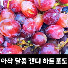 [맛없으면100%환불] 헌터스 초특가 백화점급 캔디하트 솜사탕포도 씨없는포도, 2.4kg, 1개