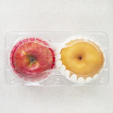 곰곰 당도선별 사과와 배, 1세트