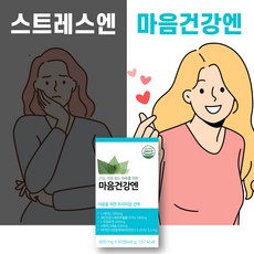 약사가 개발한 스트레스 영양제 5가지 핵심성분을 한번에 채운 올인원 제품 800mg x 60정, 1개