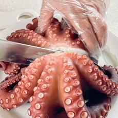 통영 돌문어 참문어 피문어 1kg, 통영 돌문어 1kg[사이즈랜덤](1-3미), 1개