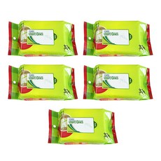 더블앤더블 정전기 청소포 컴팩트 30p, 5개입