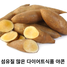 국내산 신선한 야콘 1kg 3kg 5kg 10kg 햇 야콘 못난이 특품 땅속의 배 섬유질 풍부 다이어트 변비 생식 즙 토종야콘 달달한 야콘, 못난이3kg