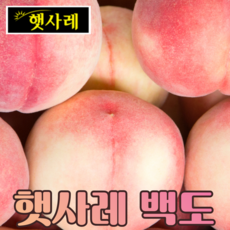 [햇사레] 복숭아는 햇사레가 최고! 당도보장 황도/백도 꿀복숭아, 백도 3kg 중과(12과내)
