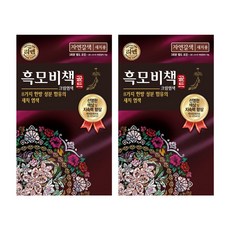 LG생활건강 리엔 흑모비책 골드 자연갈색 90g x 2개, 단품