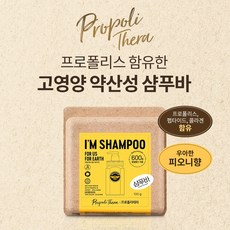 엘라스틴 프로폴리테라 푸석한 모발용 고영양 샴푸바 100g, 1개