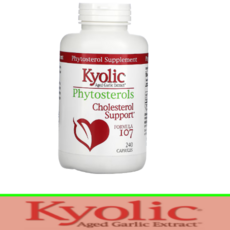 쿄릭 숙성마늘 추출 특수마늘추출물 Aged Garlic Extract 600mg 피토스테롤 FORMULA 107 [240정*1병], 240정, 1개