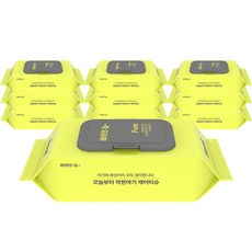 바이오늘 착한아기 퓨어네이처 바이오케어 물티슈 캡형, 10팩, 70매