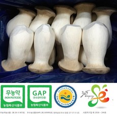 새송이는마니꺼 새송이버섯, 1box, 1kg특