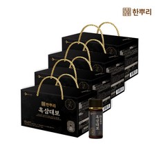 CJ 한뿌리 흑삼대보 100ml, 1개
