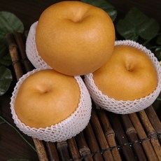 싱싱한 나주배 가정용 못난이 흠집 배 7.5~15kg, 1.가정용(흠집배)(16~20과/소과)7.5kg
