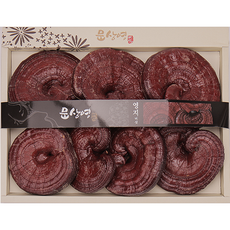 [문상영 버섯] 국산 유기농 영지버섯, 1box, 1kg 원형