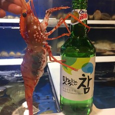 활 독도새우 도화새우, 1box, 활 도화새우 대 500g