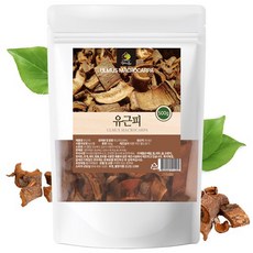 엄마애손 유근피 건재 500g, 1개