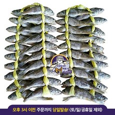 영광 법성포 굴비 [실속상품] 한정수량 20마리+20마리 / 40마리 1세트, 2세트, 1.0kg+1.0kg