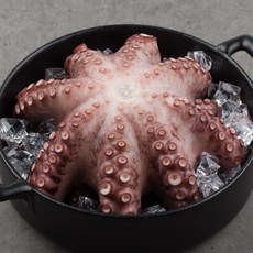 [제사용 한마리] 제수용 자숙문어 한마리 1kg 1.5kg 2kg 3kg 냉동 자숙문어 문어숙회 데친문어 삶은문어 모리타니아 돌문어, A_3. 자숙문어 한마리 2kg
