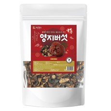 건강중심 국산 영지버섯 500g, 1개입